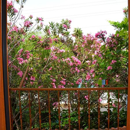 Villa Poseidon Dalyan Exterior foto